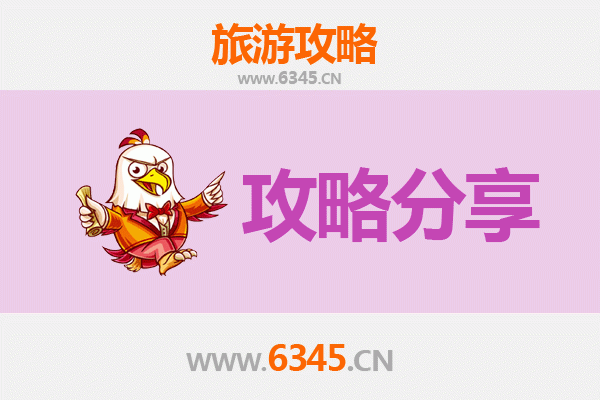 安阳林州至湄洲岛旅游攻略：跟团还是自由行深度解析